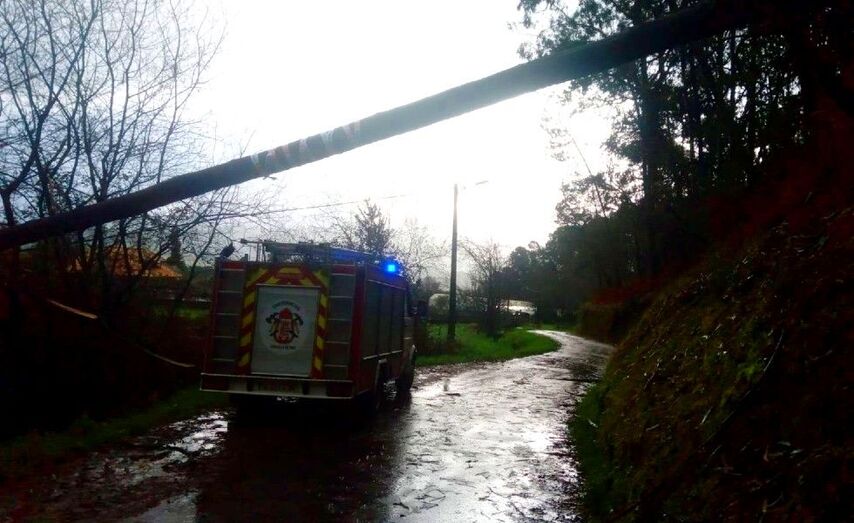 Los servicios de emergencia trabajan durante toda la jornada para restablecer incidencias / Imagen Emerxencias Mos