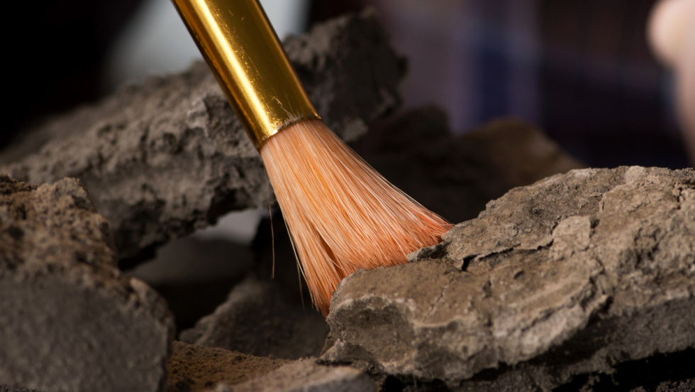 Galicia financiará más de 20 intervenciones arqueológicas en propiedades privadas