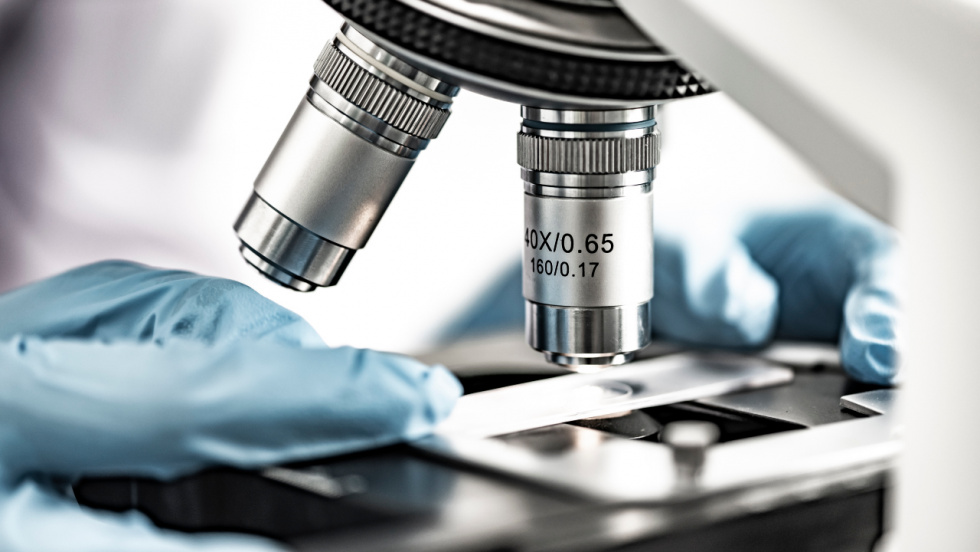 La UVigo ser&iacute;a la mejor universidad espa&ntilde;ola en Ciencia y Tecnolog&iacute;a de los Alimentos  &copy; Ingram Image