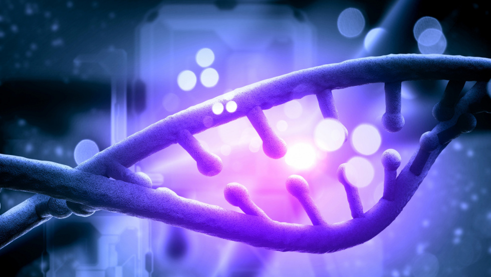 Galicia inicia una prueba masiva de ADN para detectar enfermedades hereditarias antes de que aparezcan