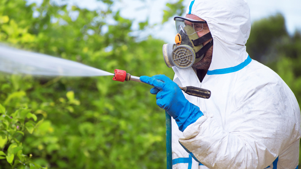 Europa prepara un recorte de 80 millones anuales para la agricultura gallega con la nueva PAC