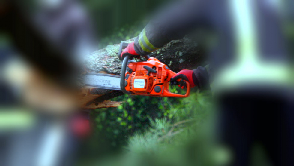 La borrasca Ingrid deja más de 400 incidencias en Galicia, con caídas de árboles y accidentes por hielo y granizo