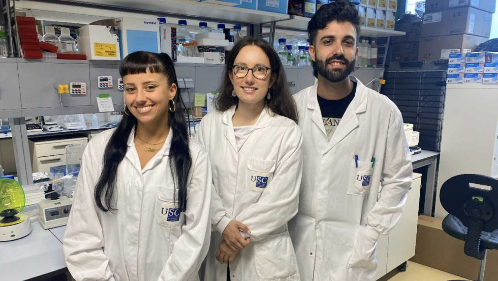 Investigadores del IDIS identifican nuevos factores biológicos clave en el crecimiento del aneurisma de aorta abdominal