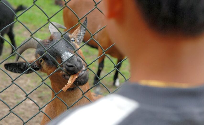 O premio ser&aacute; unha excursi&oacute;n dun d&iacute;a de duraci&oacute;n a unha granxa-escola da zona