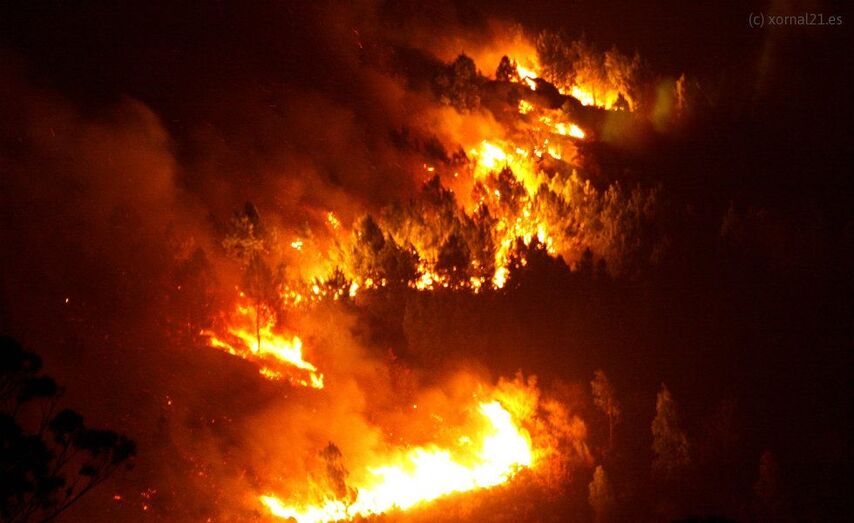 O ano pasado arderon en Galicia 2.608 hectáreas de superficie