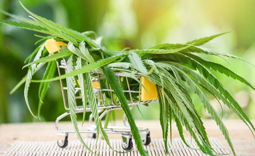 Os menores da cidade que consumen cannabis o probaron por primeira vez con 15 anos