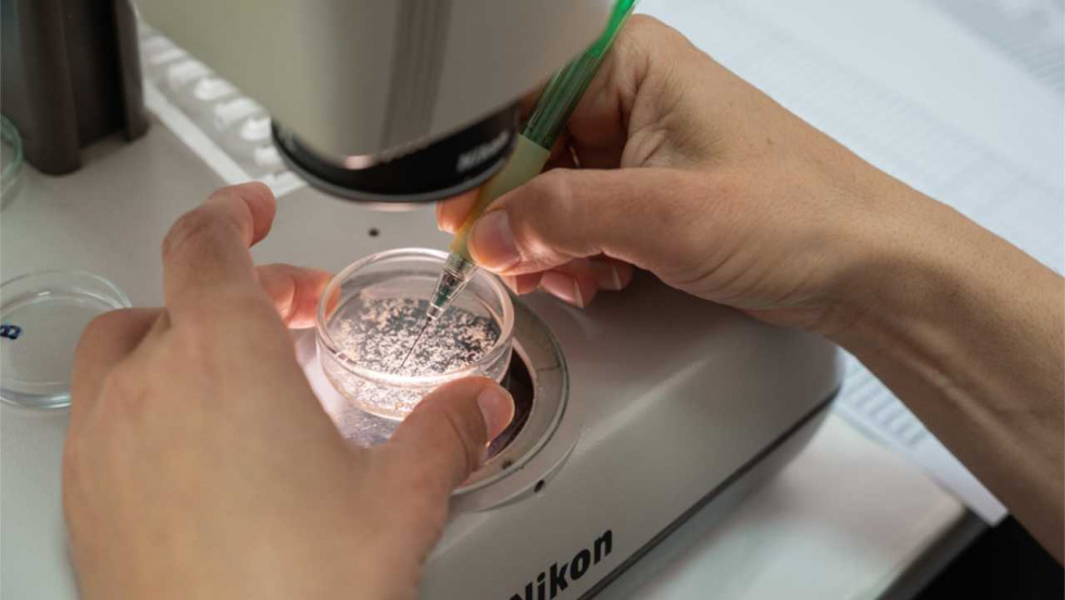 Galicia lidera 14 proyectos de investigación punteros del CSIC con 6,5 millones de euros