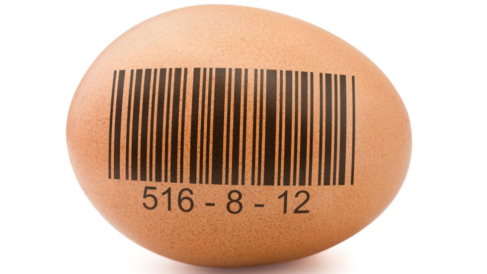 Galicia aprueba un decreto pionero para flexibilizar la venta de huevos y garantizar la trazabilidad