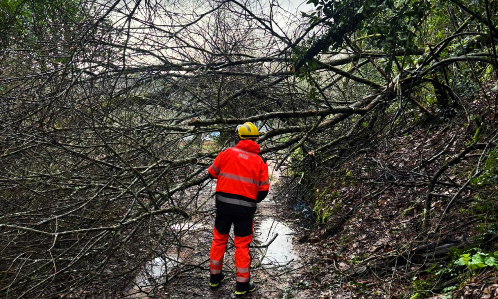 El equipo de emergencias de Mos atendió cerca de un centenar de incidencias en poco más de un mes