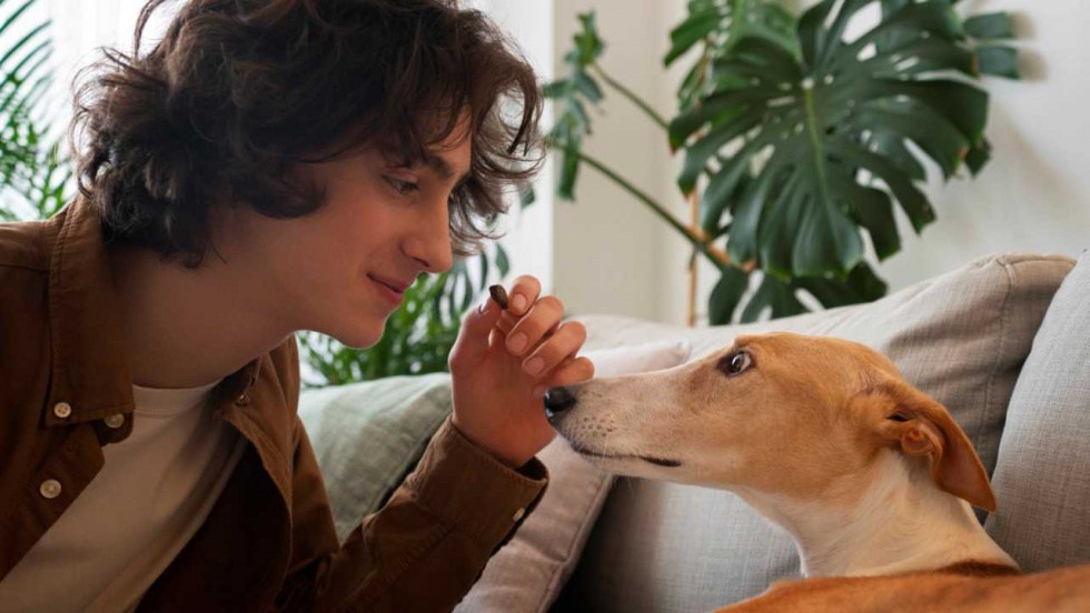 El amor hacia los animales es similar al que sentimos por las personas