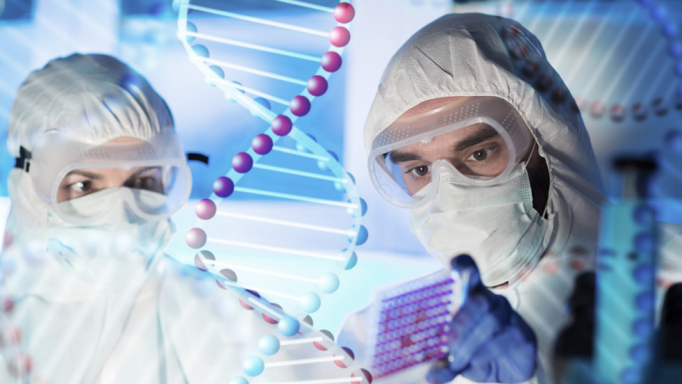 El virus de Nipah, una amenaza zoonótica con alta letalidad y sin tratamiento específico