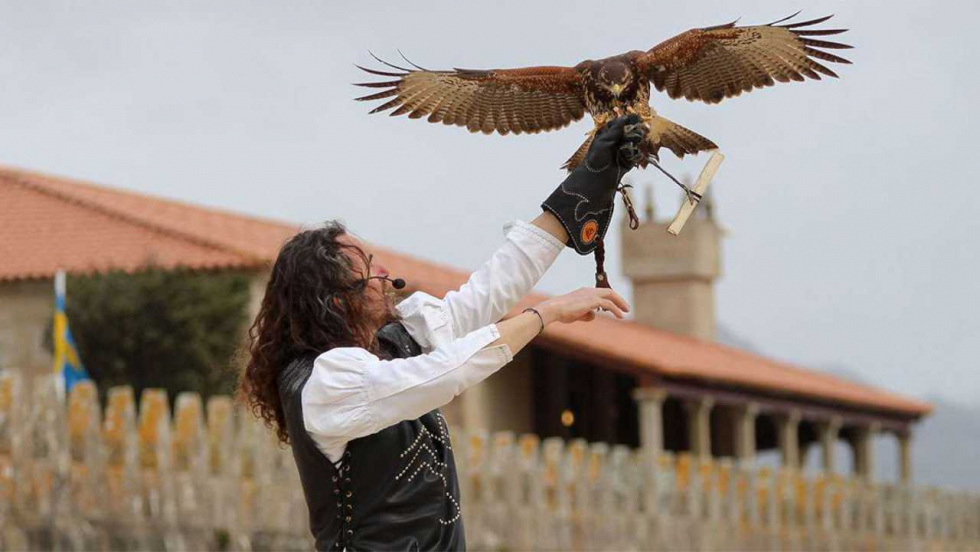 La gripe aviar deja sin cetrería a la Arribada de Baiona
