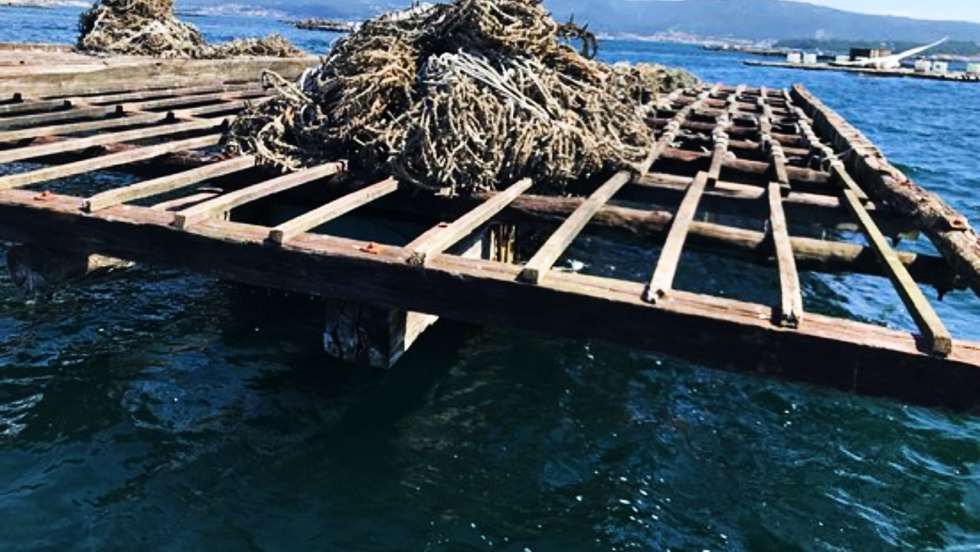 Intecmar libera toda la ría de Pontevedra para el mejillón tras superar la crisis de toxinas