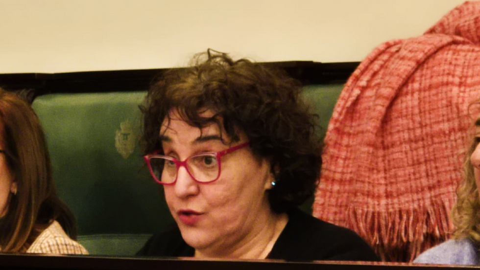 El BNG reclama en la Diputación más fondos para igualdad y 