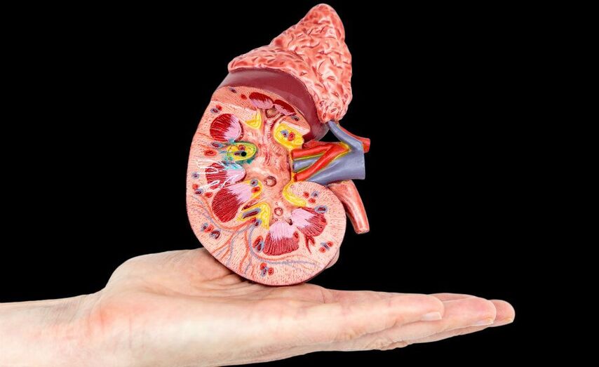 Se estima que provoca entre 2.3 y 7.1 millones de muertes prematuras por falta de acceso al tratamiento.