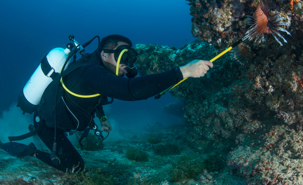 Se impartirá na sede do Igafa, na Illa de Arousa |Image licensed by © Ingram Image