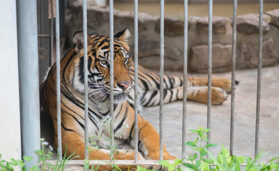 Archivo |Image licensed by &copy; Ingram Image