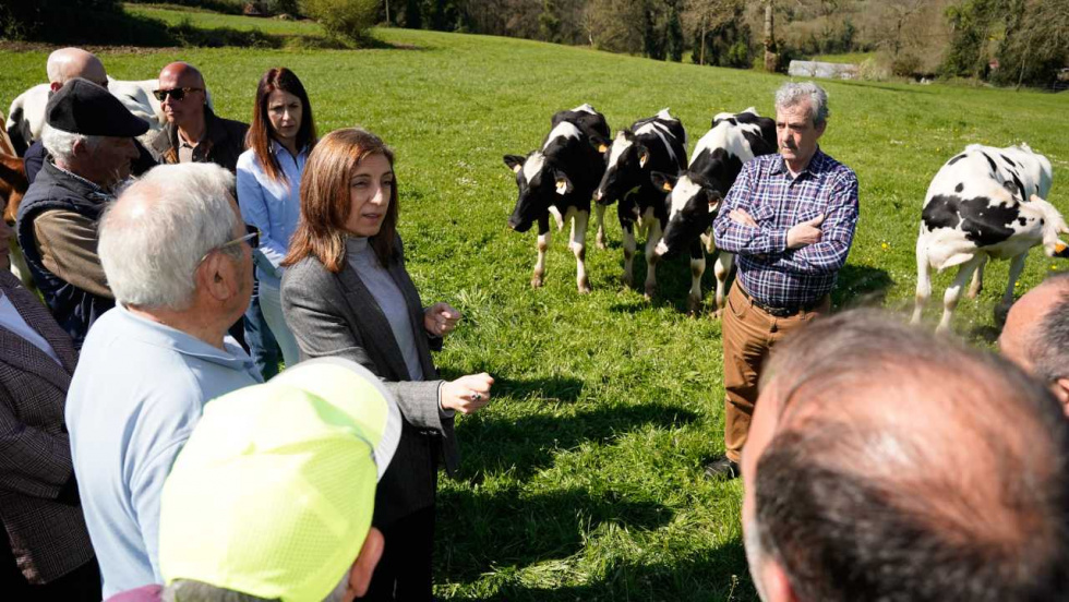 La Xunta denuncia el 