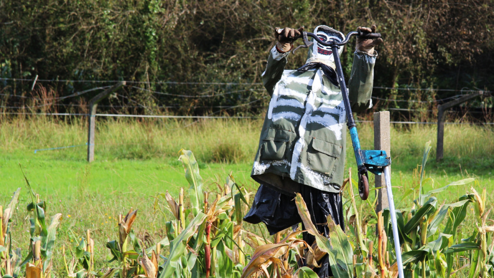 El fascinante mundo de los espantapájaros: historia, usos y simbolismo de una figura eterna