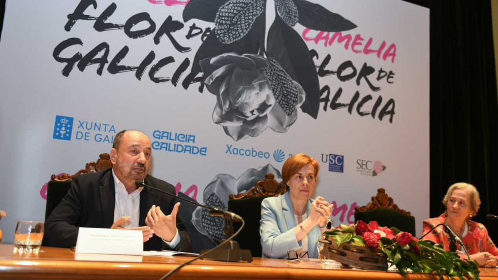 La camelia florece en Semana Santa: Fonseca acoge más de 200 variedades