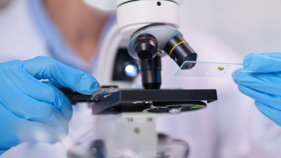 Galicia registró 77 solicitudes de patentes europeas en 2025 y se mantiene como la octava comunidad en actividad innovadora