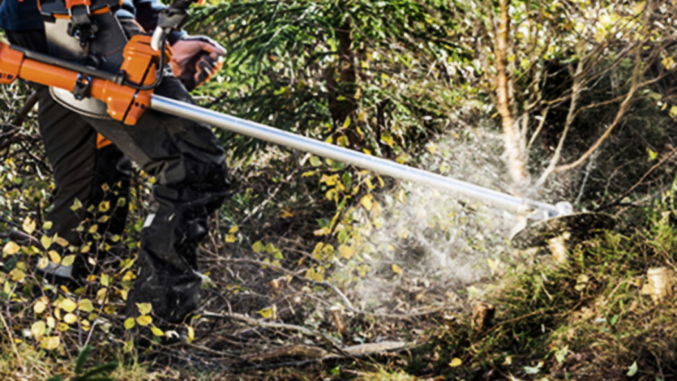 La ley obliga a mantener limpias las parcelas de Mos antes del 31 de mayo como medida preventiva contra los incendios