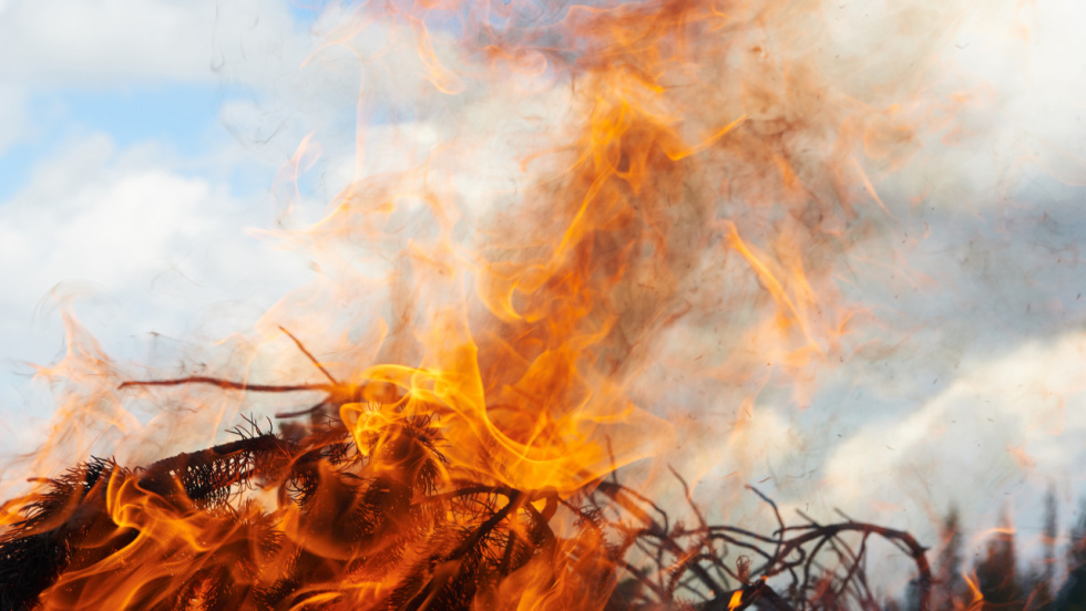 Medio Rural reactiva desde hoy las quemas agrícolas y las autorizaciones para restos forestales