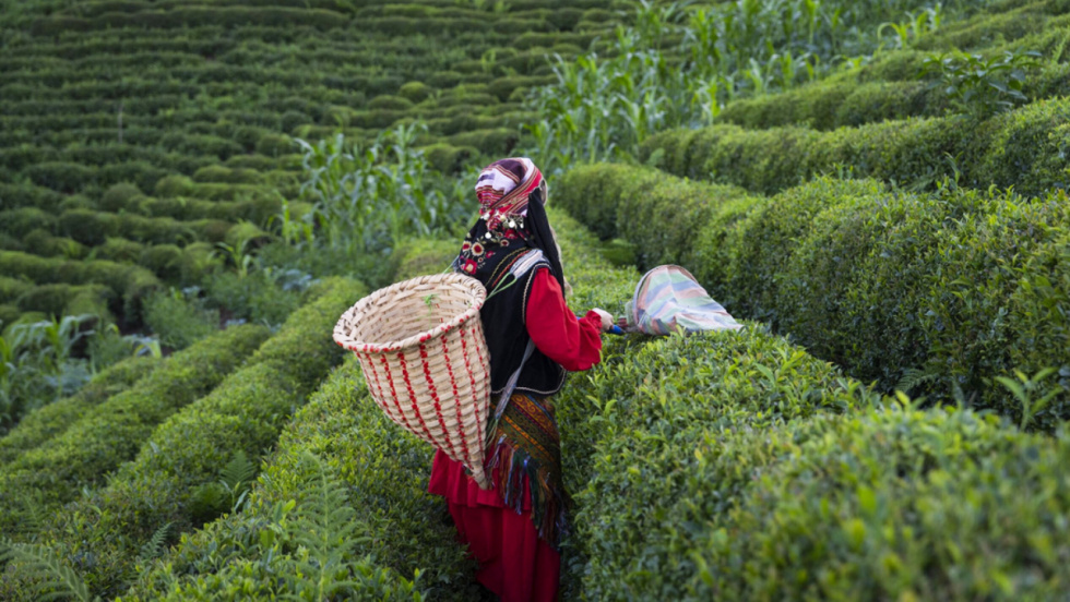 Las montañas Kaçkar de Türkiye se consolidan como destino global de aventura y patrimonio natural