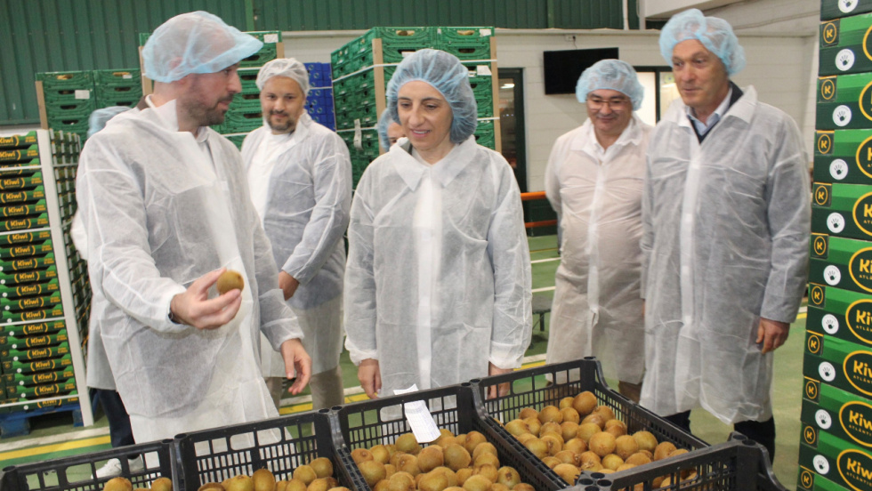 Galicia medirá por primera vez el desperdicio alimentario para combatirlo