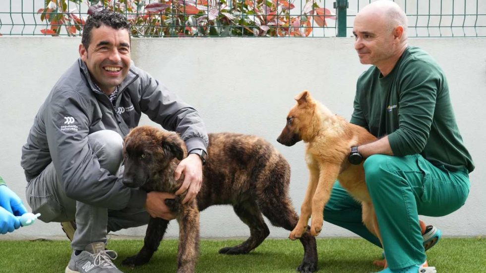 El CAAN de Meis se consolida como 