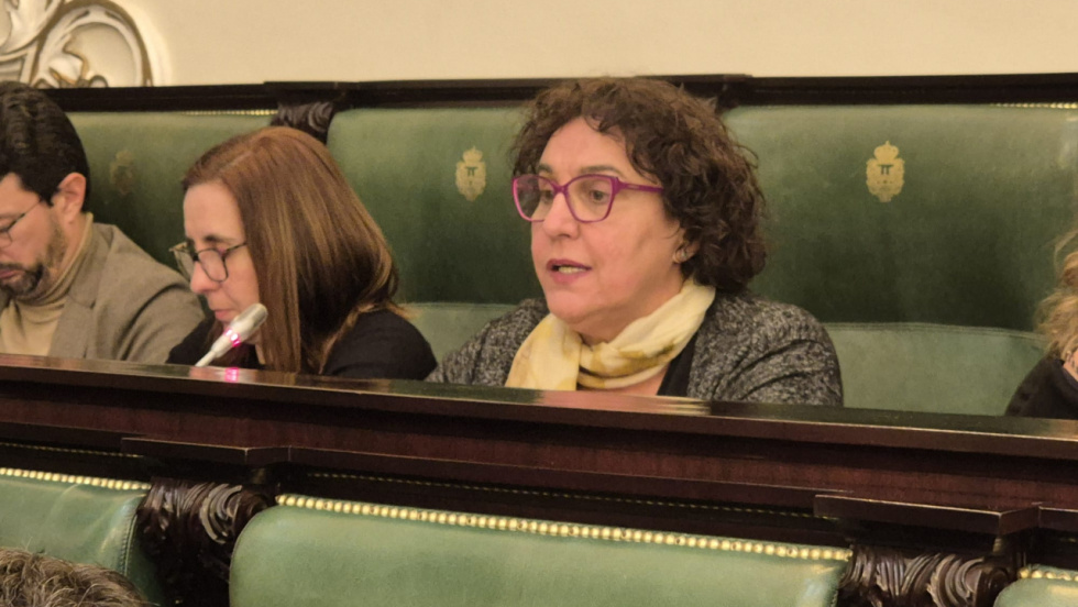 El BNG lleva el rechazo al desfile militar a la Diputación