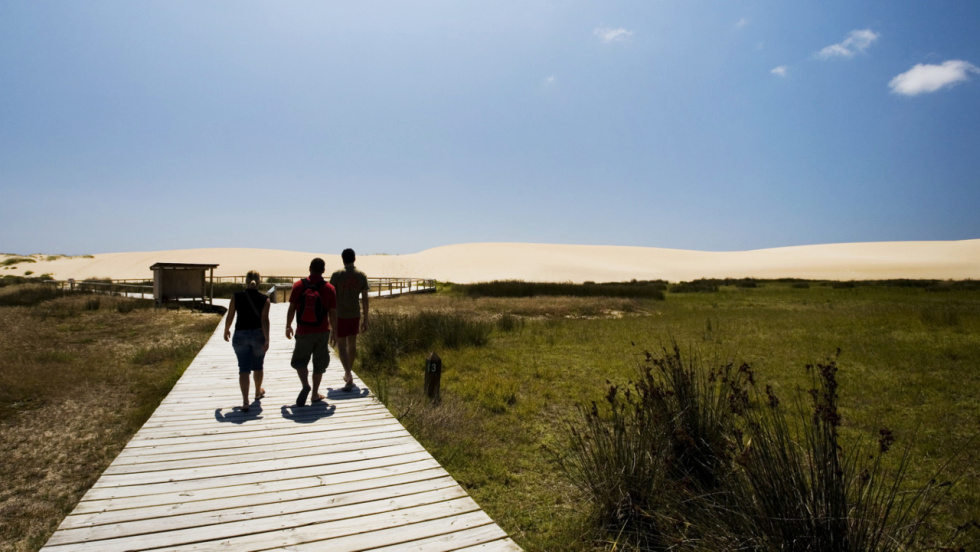La Xunta licita por más de 150.000 euros la eliminación de especies invasoras en Cíes y Corrubedo