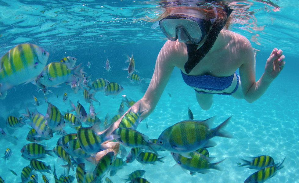 Los Cabos: un tesoro natural que invita a disfrutar de un turismo más sostenible