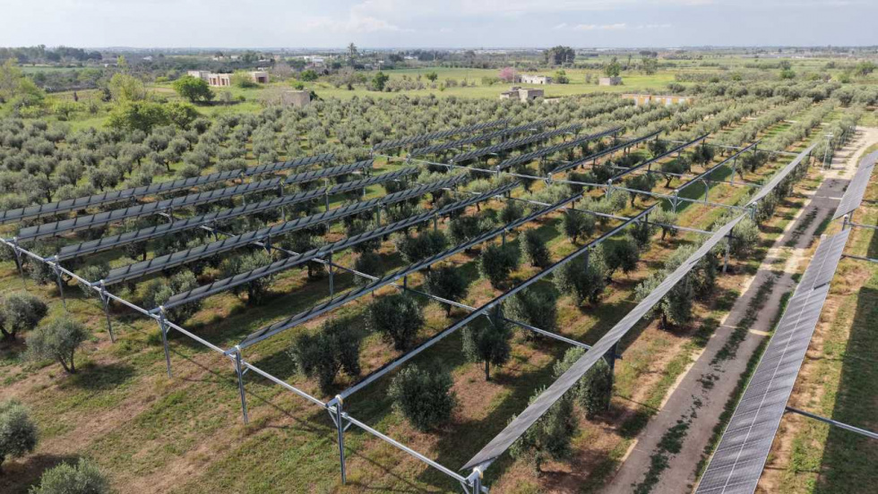 La agrovoltaica puede ahorrar hasta 40.000 euros anuales en una explotación de 10 hectáreas