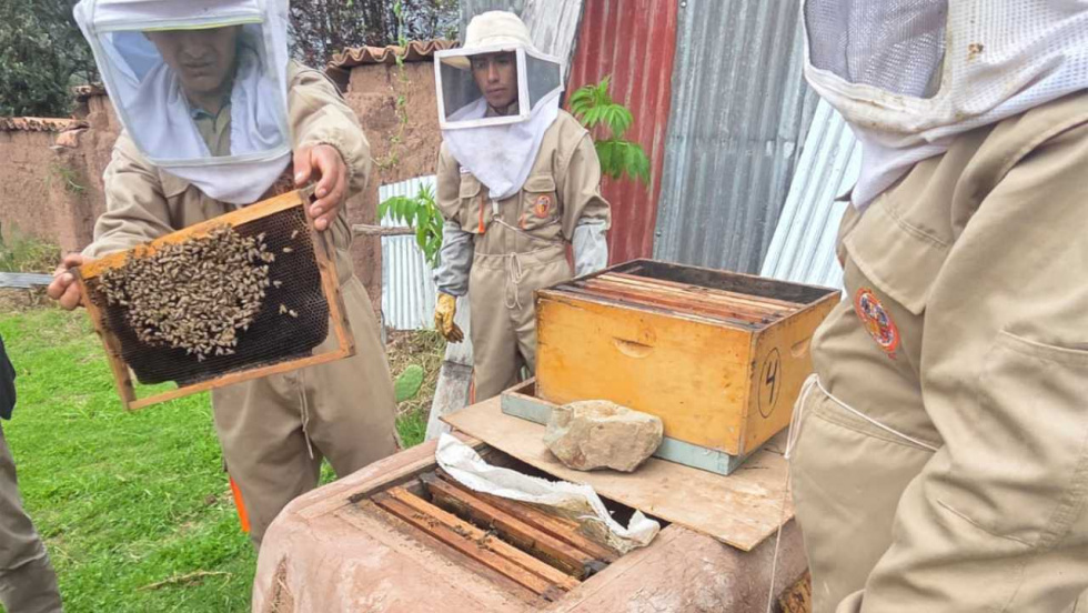 De Galicia a los Andes peruanos: abejas que cambian la economía de 125 familias rurales