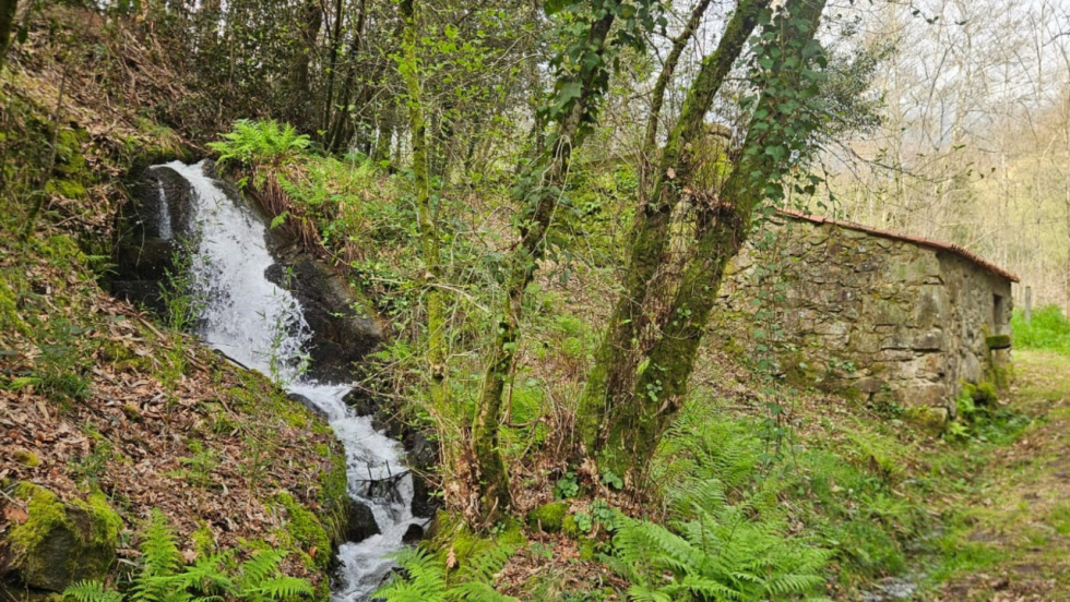 Mos impulsa la protección del Roteiro dos Muíños da Salgueira y el Monte de Pereiras como espacio natural