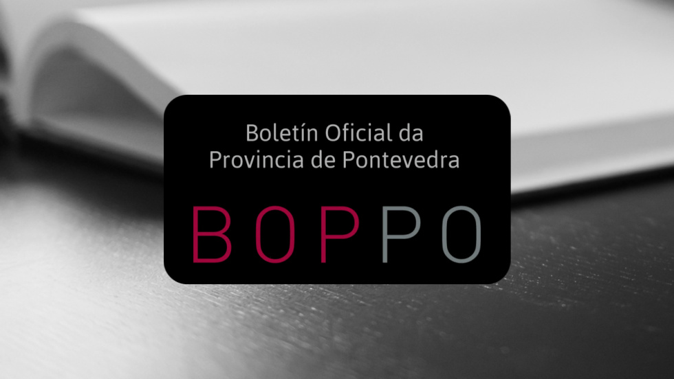 Ponteareas regula por ordenanza las viviendas de emergencia social