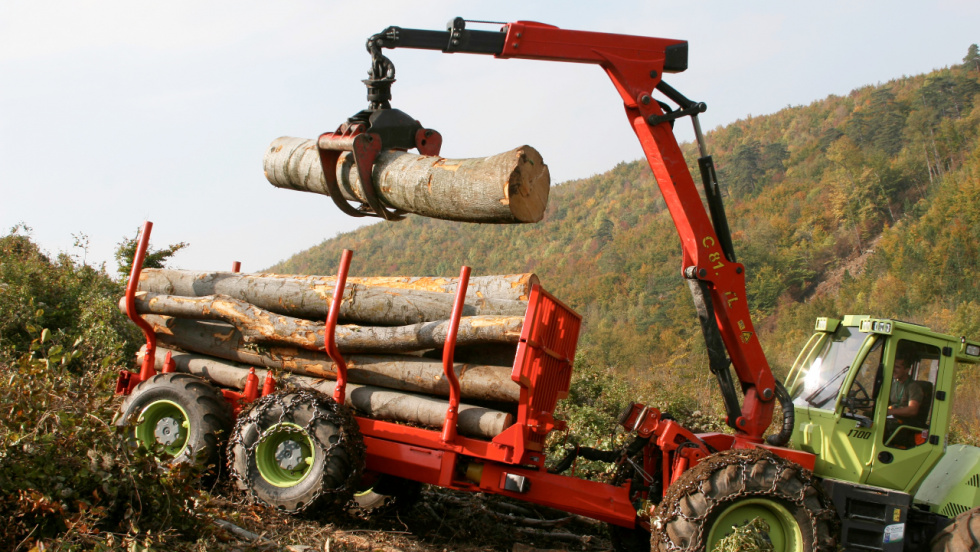 Galicia consolida su liderazgo forestal con más de la mitad de las cortas de madera de España