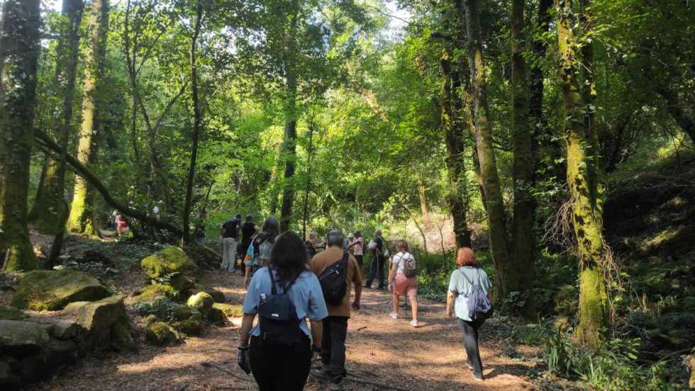 Este fin de semana baños de bosque en Lourizán y la Barosa