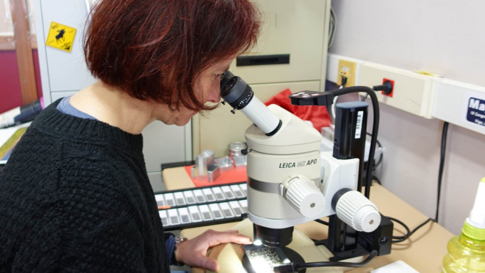 A Xunta inviste 6,2 millóns de euros no Centro de Investigación Mariña da Universidade de Vigo