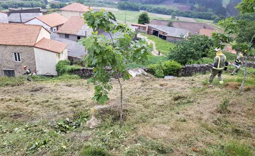 Traballos de prevención de incendios forestais.