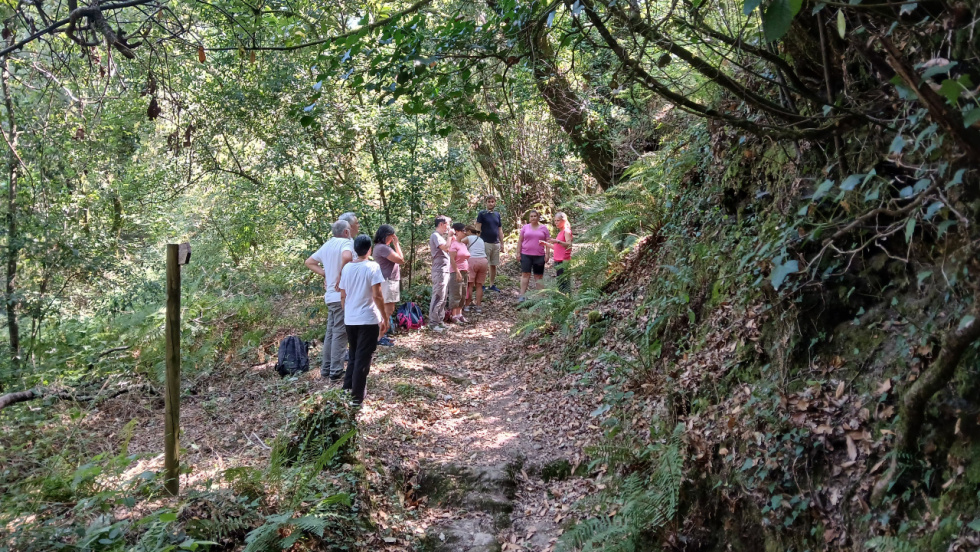 El programa +Bosques continúa este fin de semana en Silleda y Pontevedra con todas las plazas agotadas