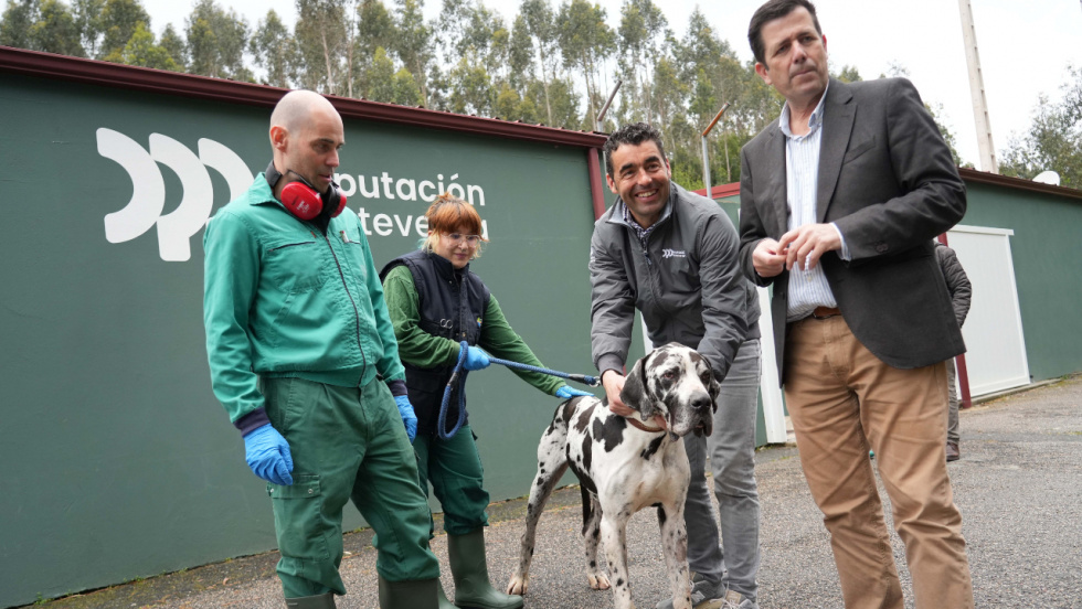 El centro de acogida de animales de la Deputación realiza 300 adopciones en lo que va de año