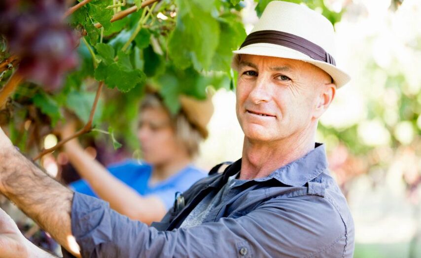 Seleccionan operarios con y sin experiencia previa para las zonas de Tomiño o alrededores, Salvatierra y las zonas del Bierzo, Ribeiro, Ulla y Salnés