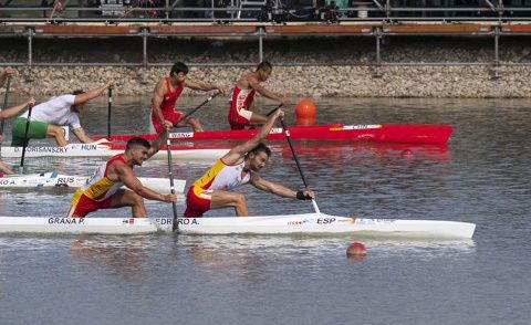 C2 M 200 - Pedrero + Graña - Oro