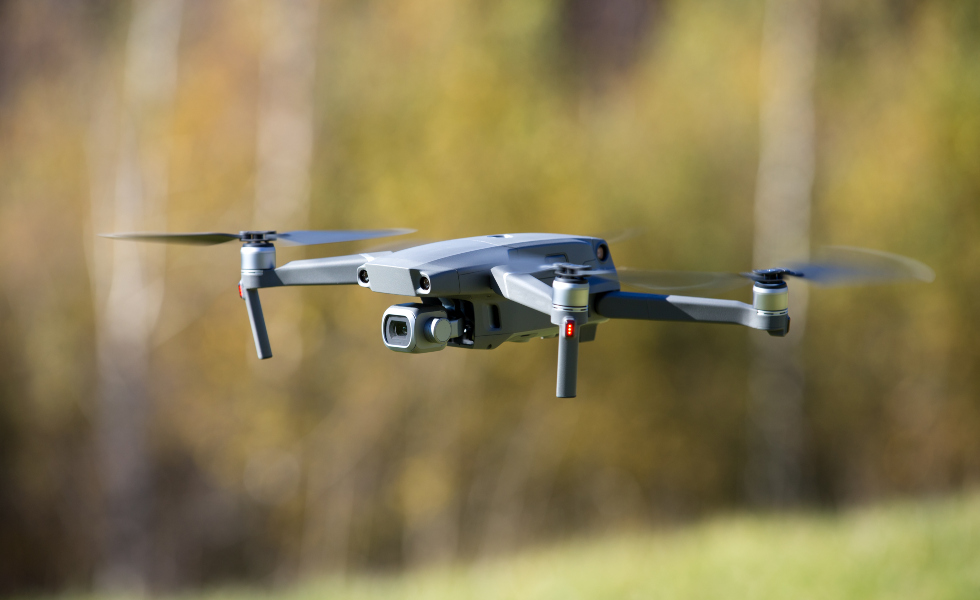 |Image licensed by &copy; Ingram Image