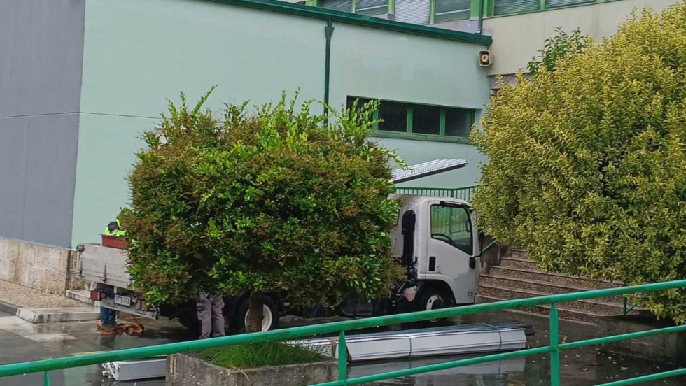 Baiona pone fin a las filtraciones del gimnasio del CEP Sabarís
