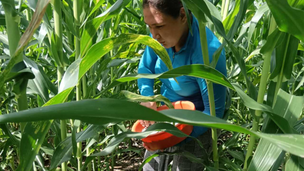 Un centenar de mujeres siembran futuro en El Salvador con el apoyo del Fondo Galego