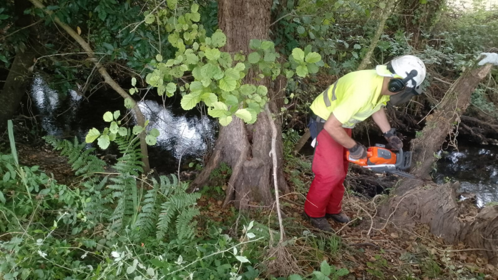 Augas de Galicia actúa en 4,25 kilómetros de ríos en Caldas de Reis para prevenir inundaciones