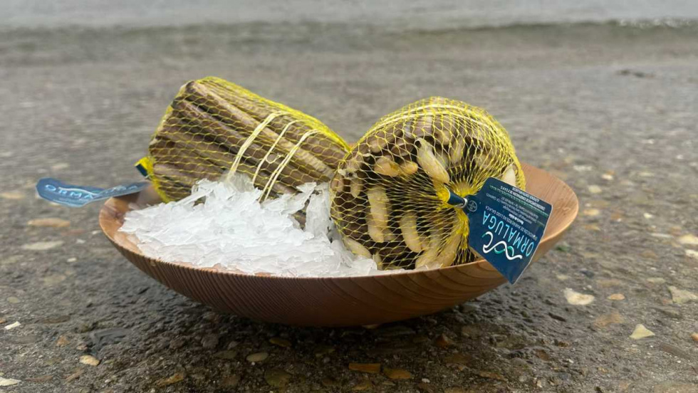 La pesca artesanal acerca el producto del mar directamente a la mesa